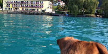 Hotels am See - Region Attersee - Hundefreundliches Hotel - Hotel Post