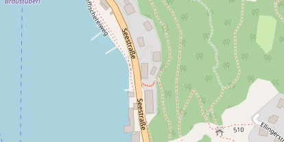 Seehotel auf Satellitenbild